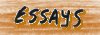 thought provoking essays